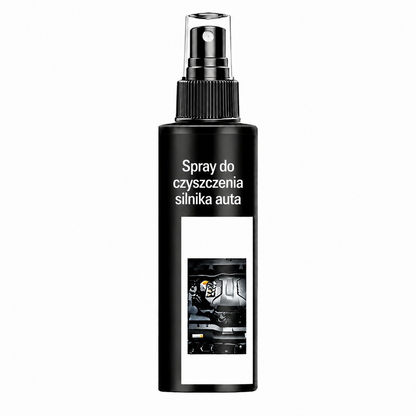 Spray do czyszczenia silnika