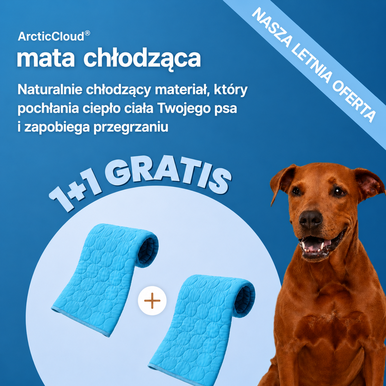 ArcticCloud® – Chłodząca mata dla psa (1+1 GRATIS)