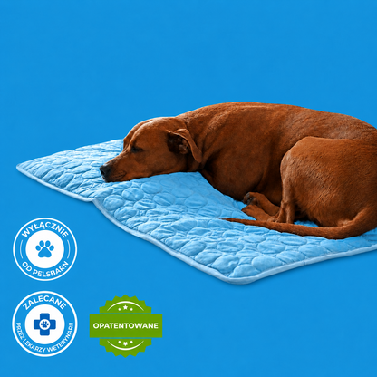 ArcticCloud® – Chłodząca mata dla psa (1+1 GRATIS)