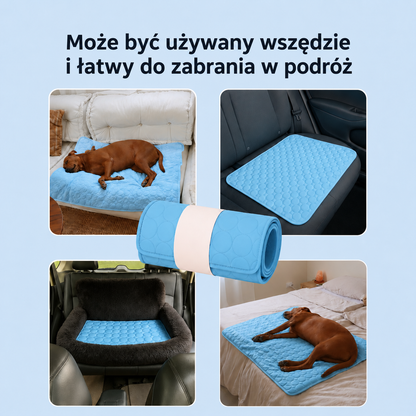 ArcticCloud® – Chłodząca mata dla psa (1+1 GRATIS)