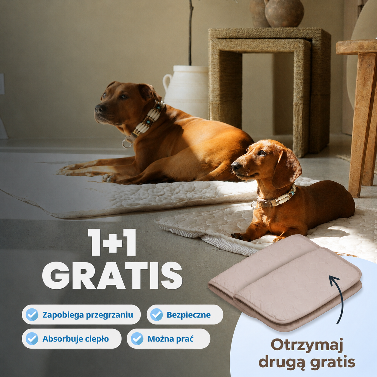 ArcticCloud® – Chłodząca mata dla psa (1+1 GRATIS)