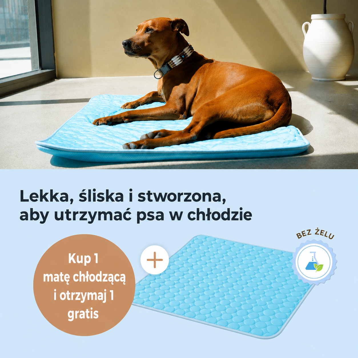 ArcticCloud® – Chłodząca mata dla psa (1+1 GRATIS)